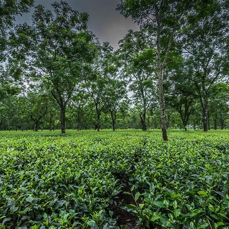 Готель Tusker Tea County Chalsa Екстер'єр фото