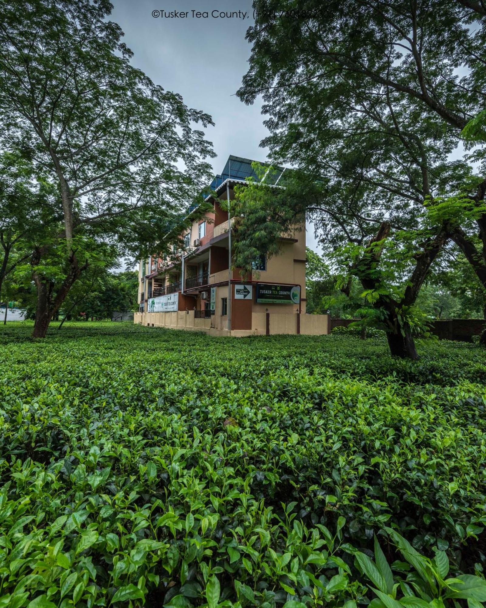 Готель Tusker Tea County Chalsa Екстер'єр фото